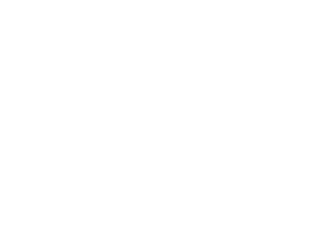 LogoBrancoVP